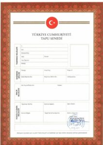 انواع تاپو در ترکیه